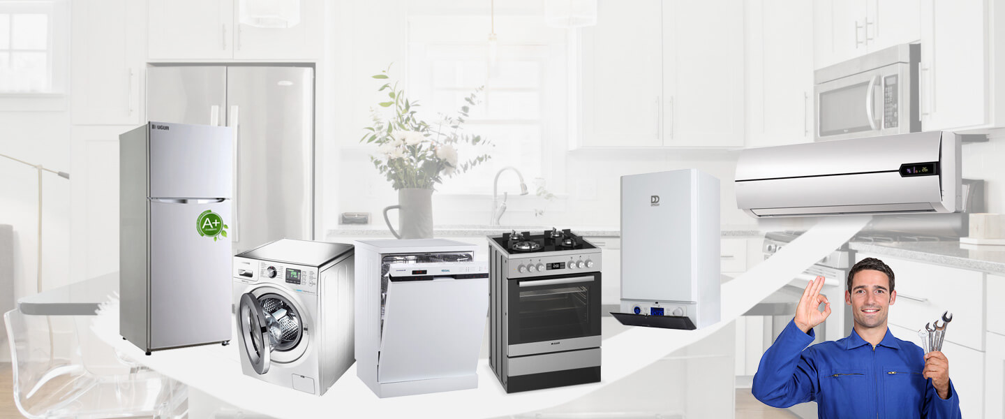 Sarıoğlan Philips Servisi